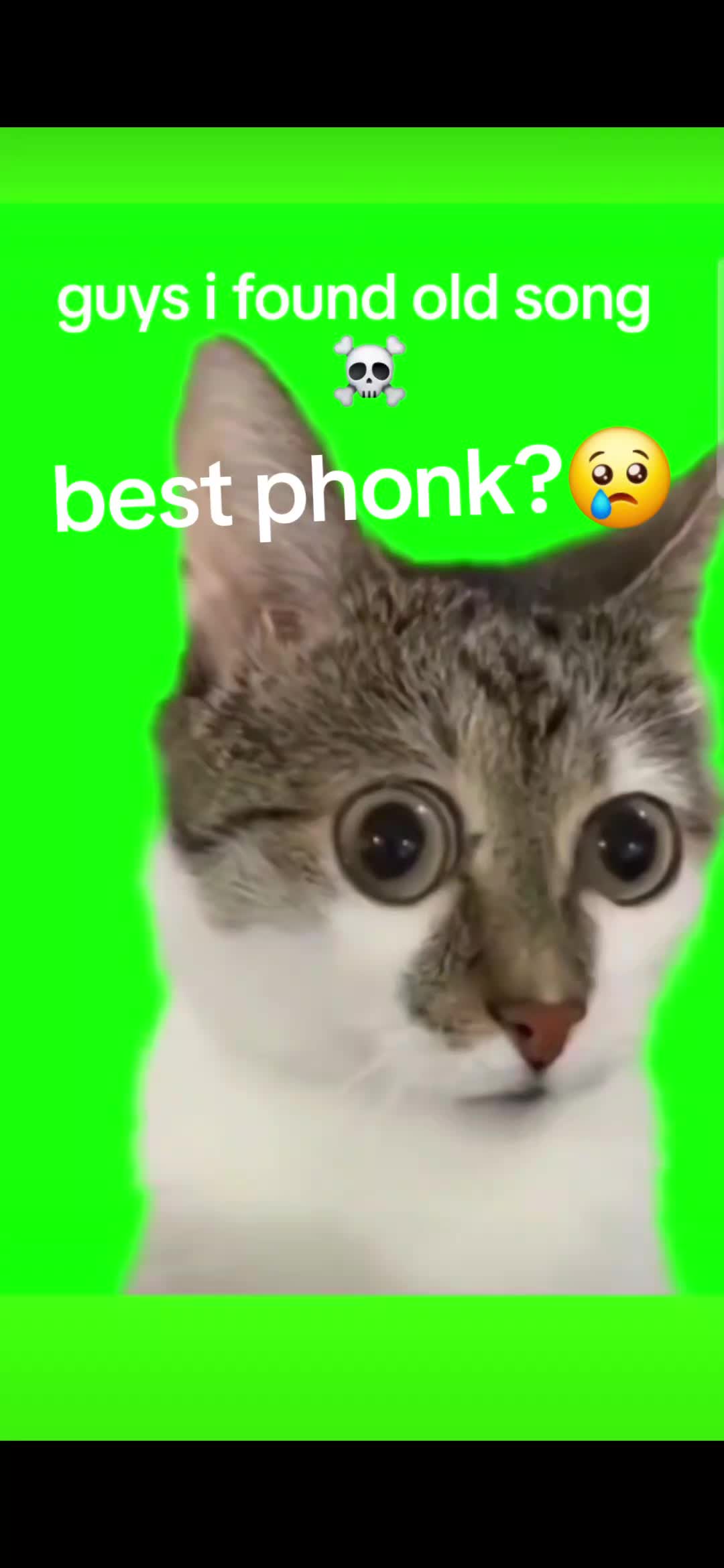 @profi2_real