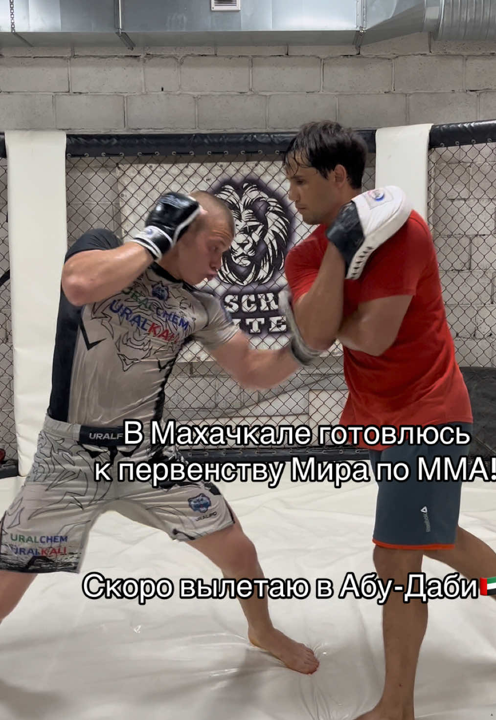 @zubarev_mma1