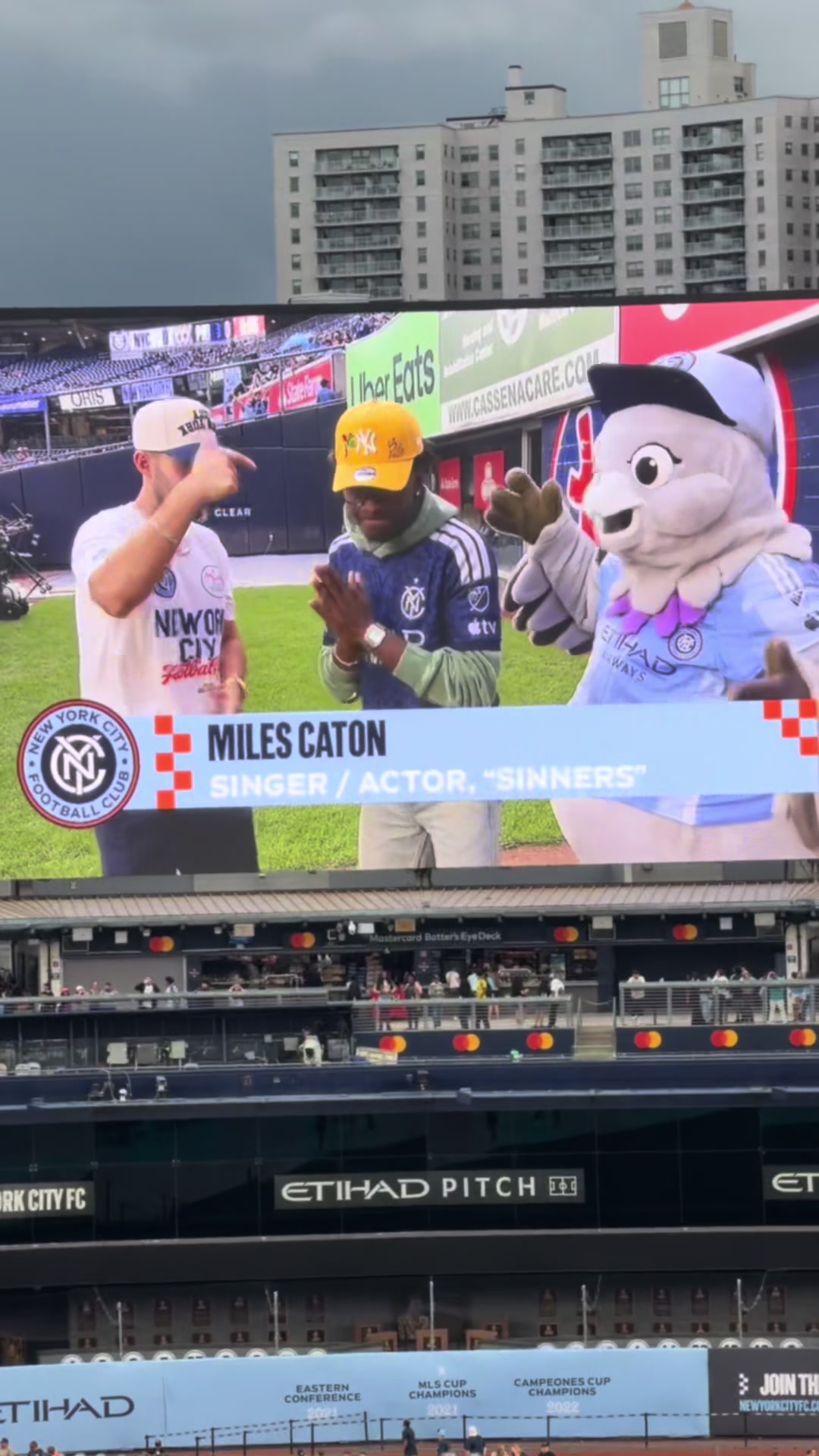 @MILESCATONFANS