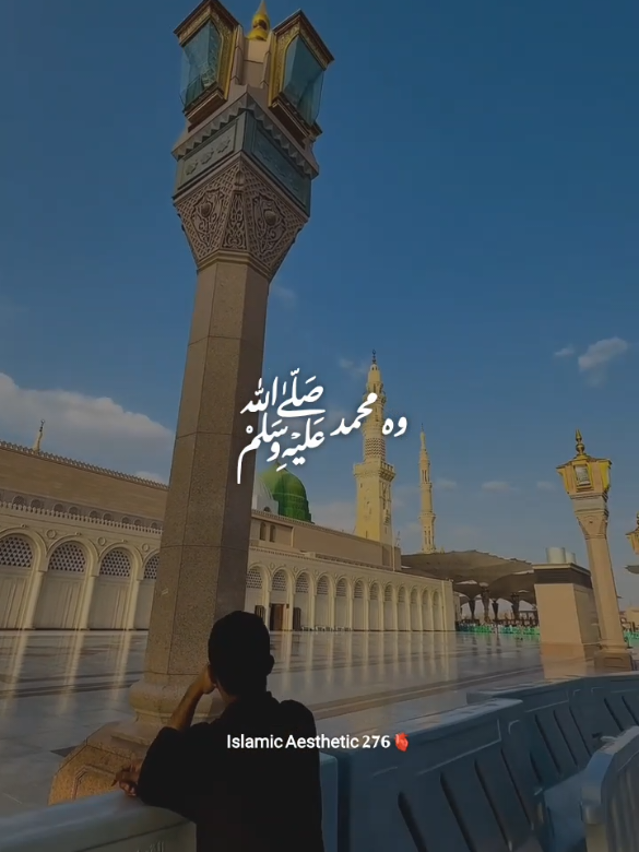 @راجه لقمان 🦅
