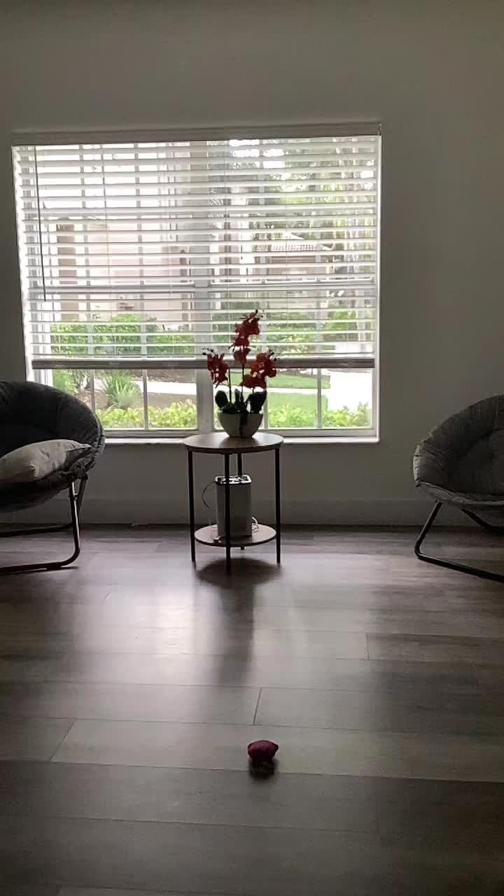 @Sarita