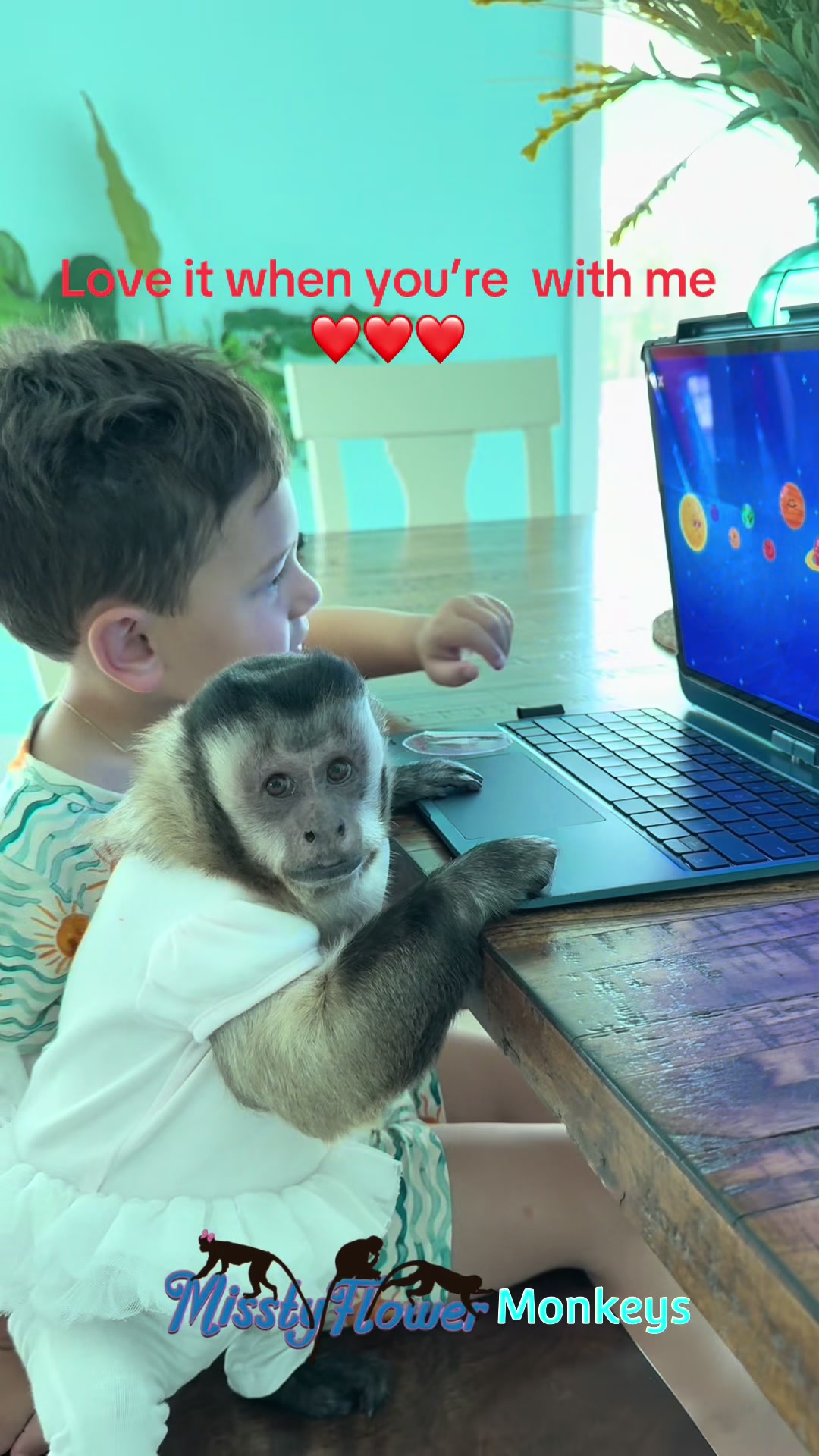 @MisstyFlower Monkeys