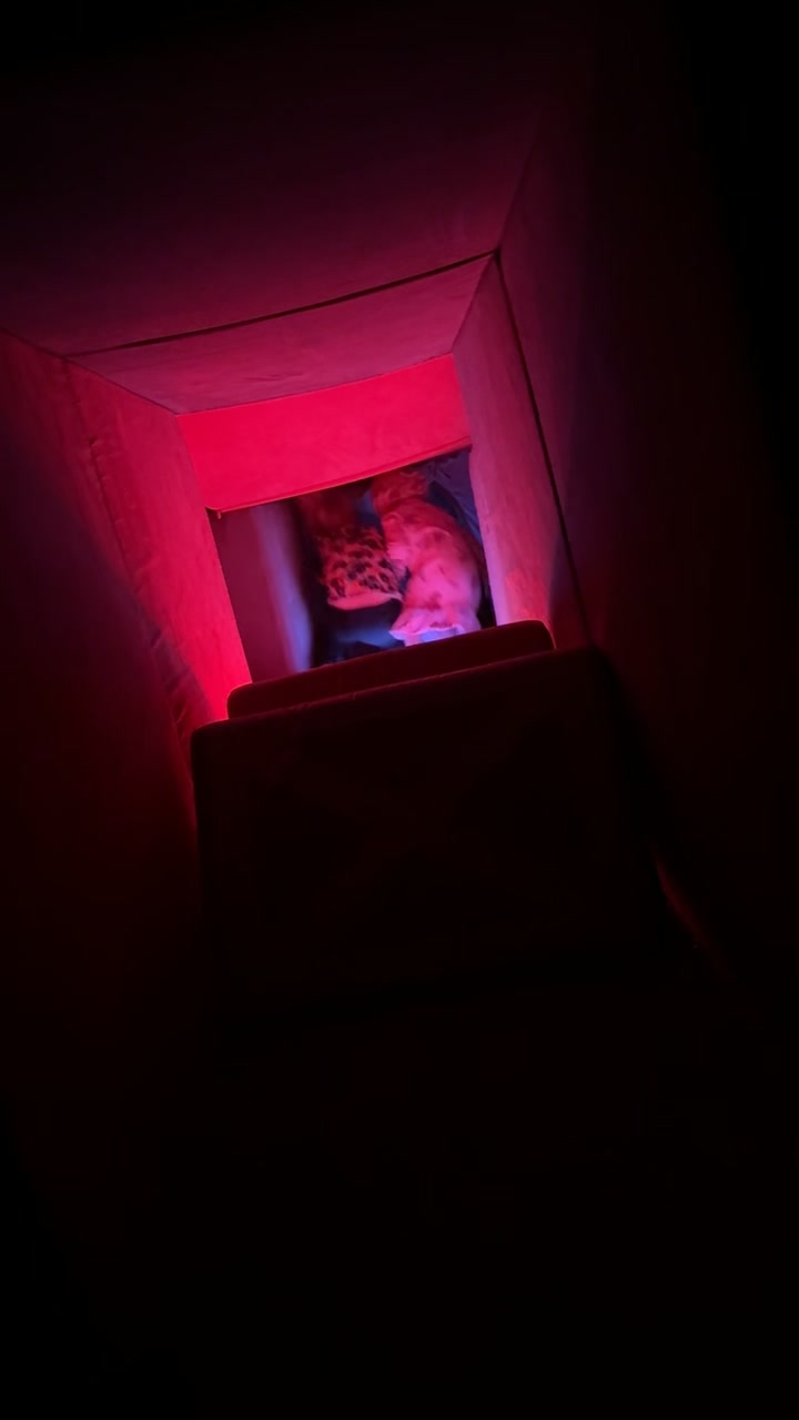 @Adrianna | TikTok Shop | SAHM