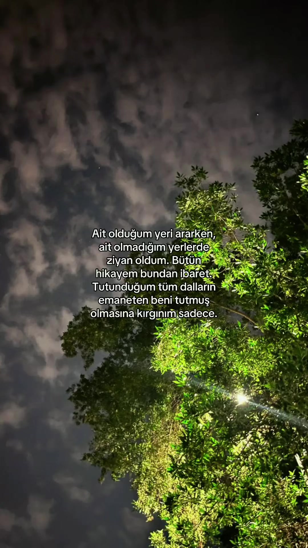 @Nur ceylan