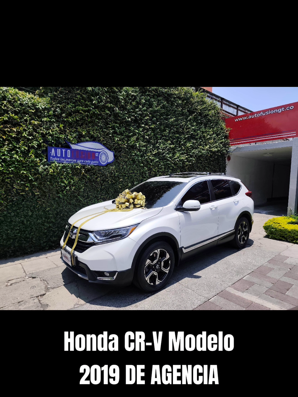@AutoFusión GT