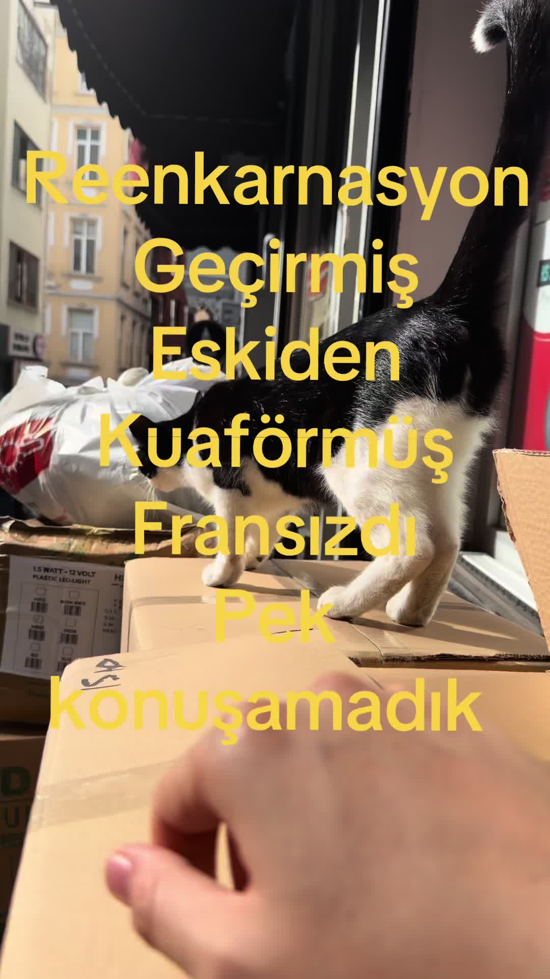 @adakTASAK