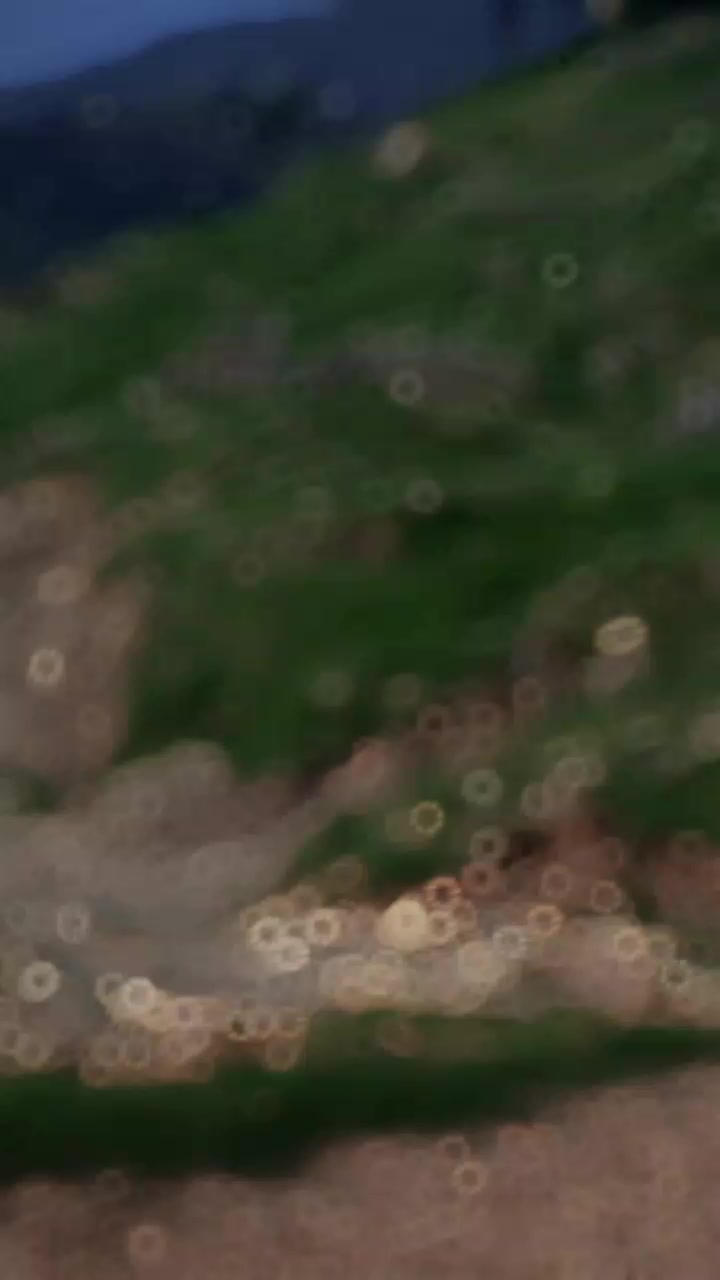 @عاقب عباسی🎗️🫠