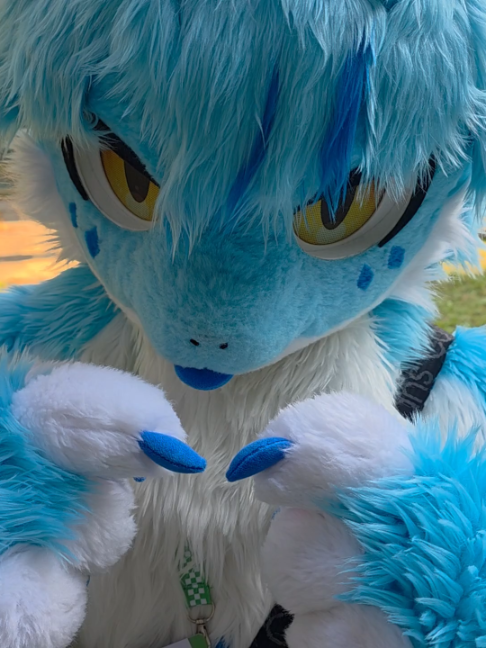 @radywolf