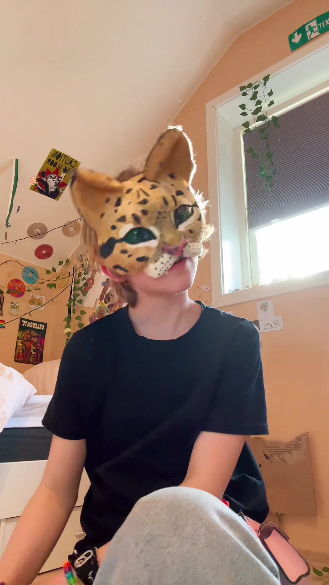 @𝑱𝑬𝑿𝑶. 💥🐯