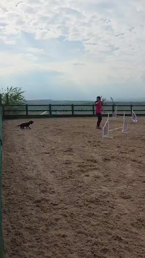 @Simply Animals