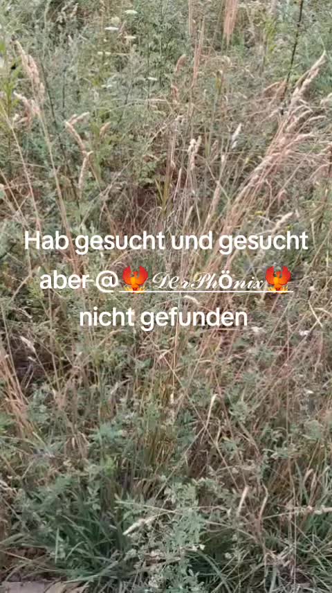 @🥕🥕FlottiKarotti🥕🥕