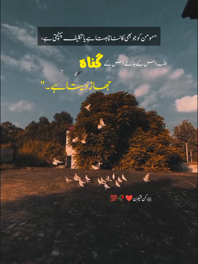 @کن فیکون ❤️