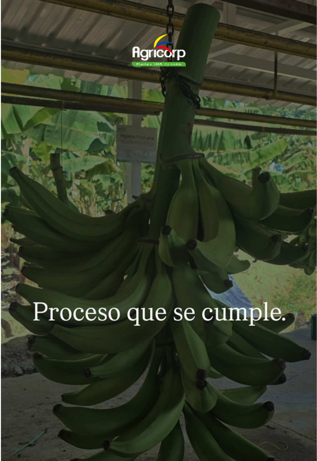 @Agricorp sas