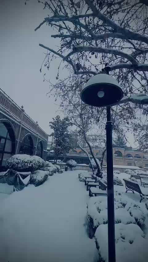 @FERDİ.TATA