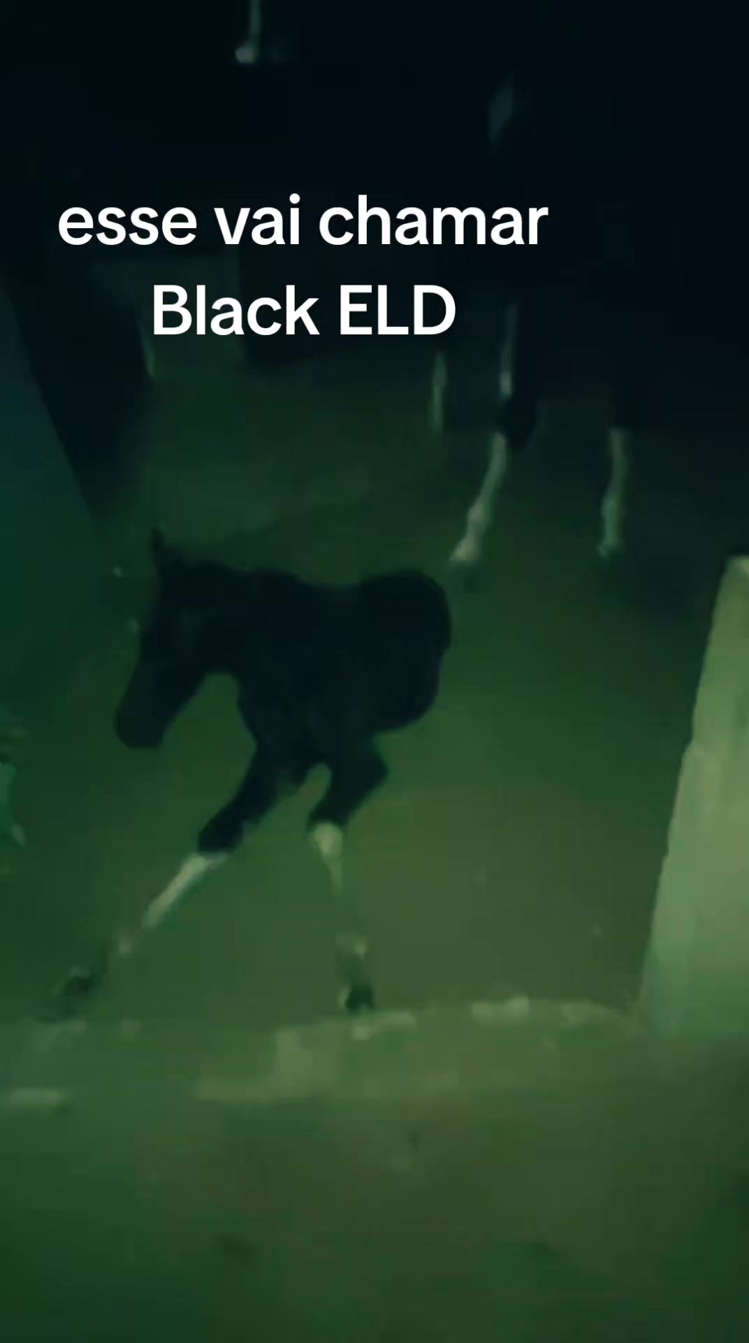 @Elder