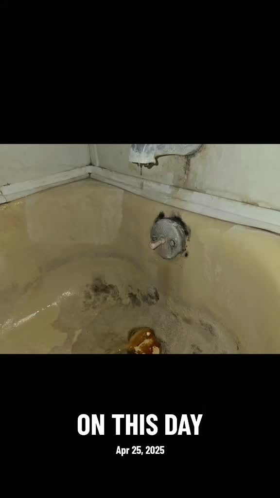 @GeorgeThePlumber