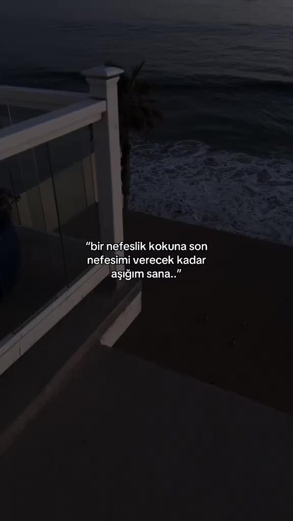 @⭑𝐆𝐞𝐜𝐞⭑