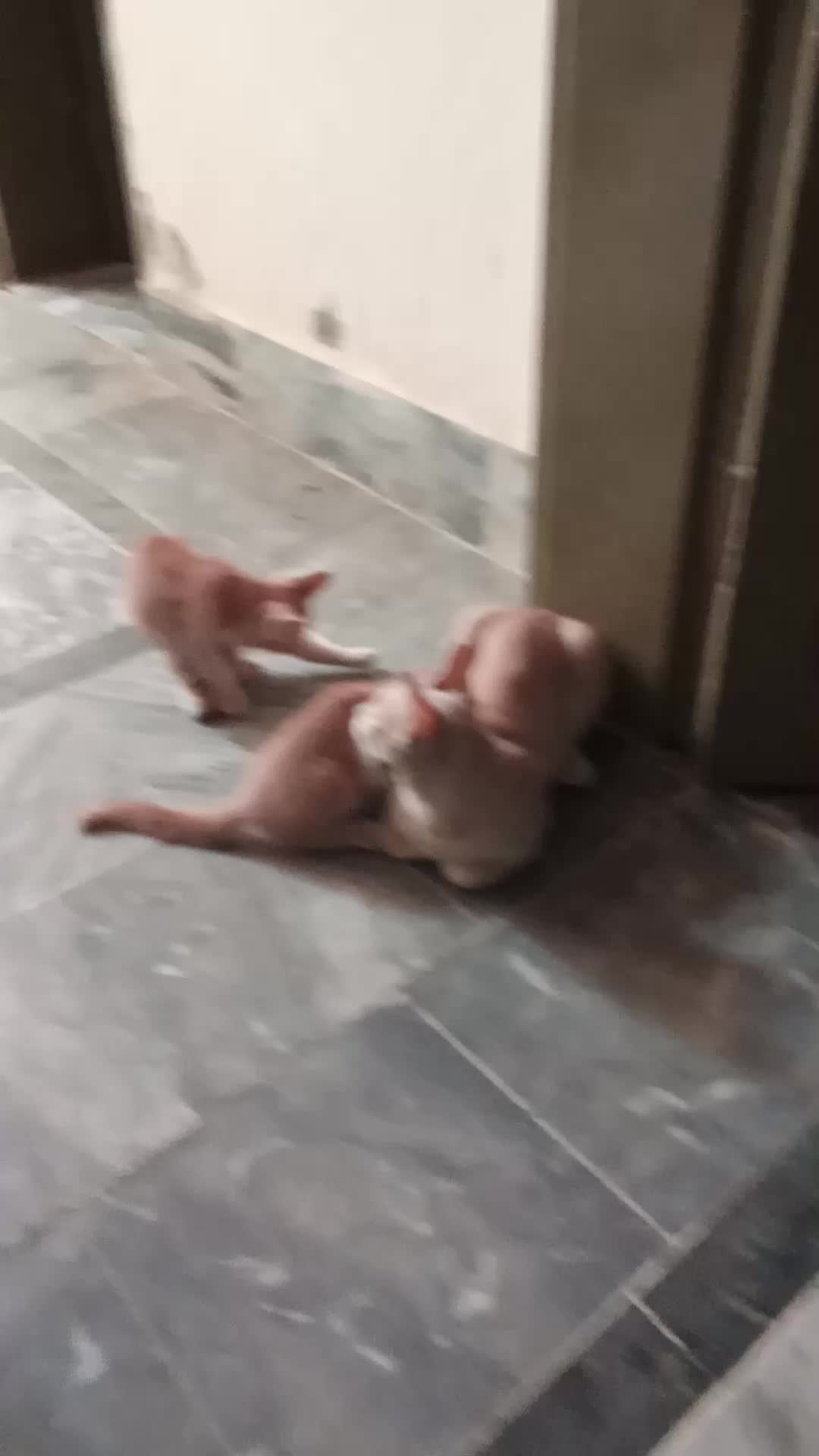 @cutecatlover8172