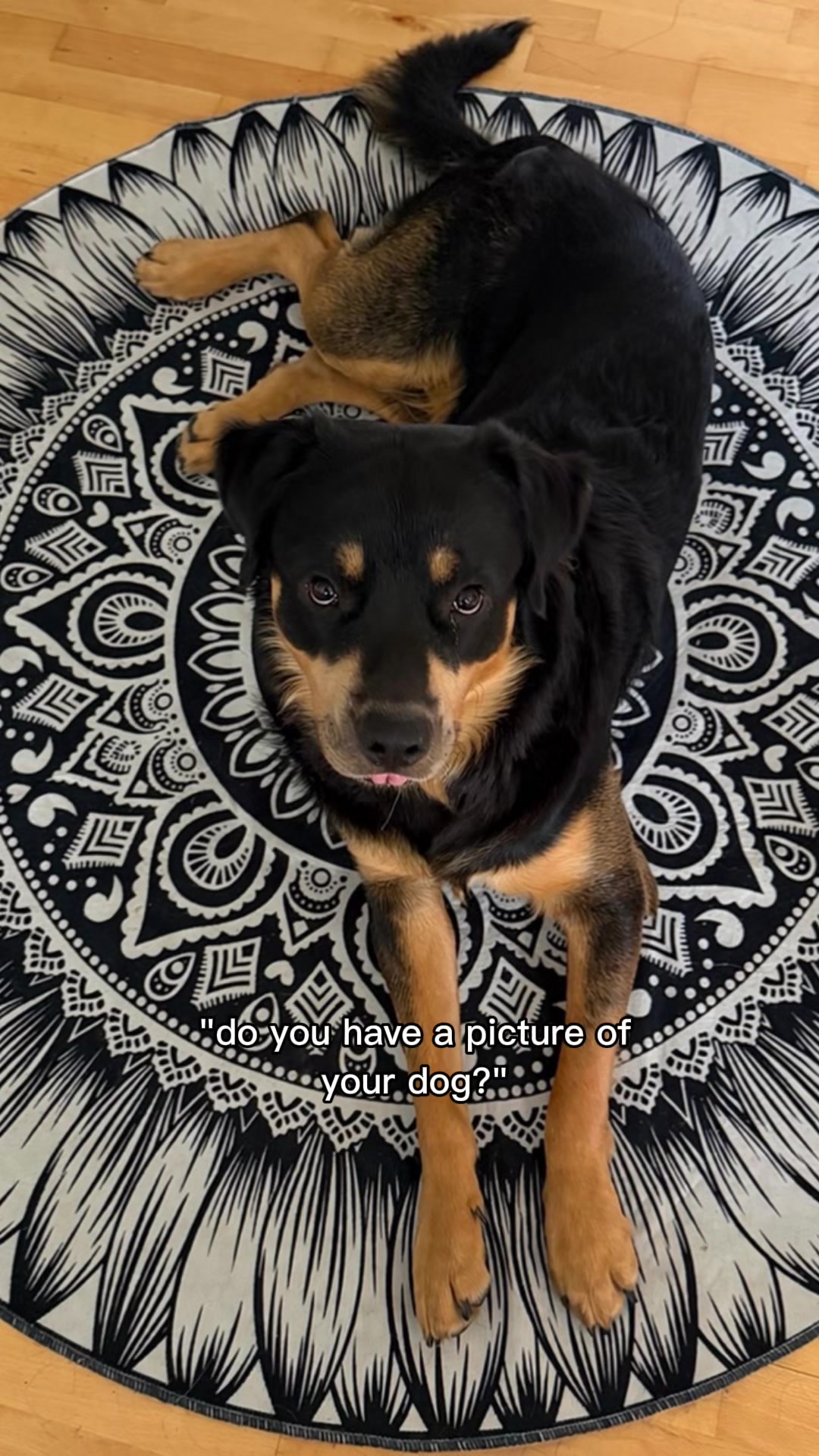 @•𝓜🤍