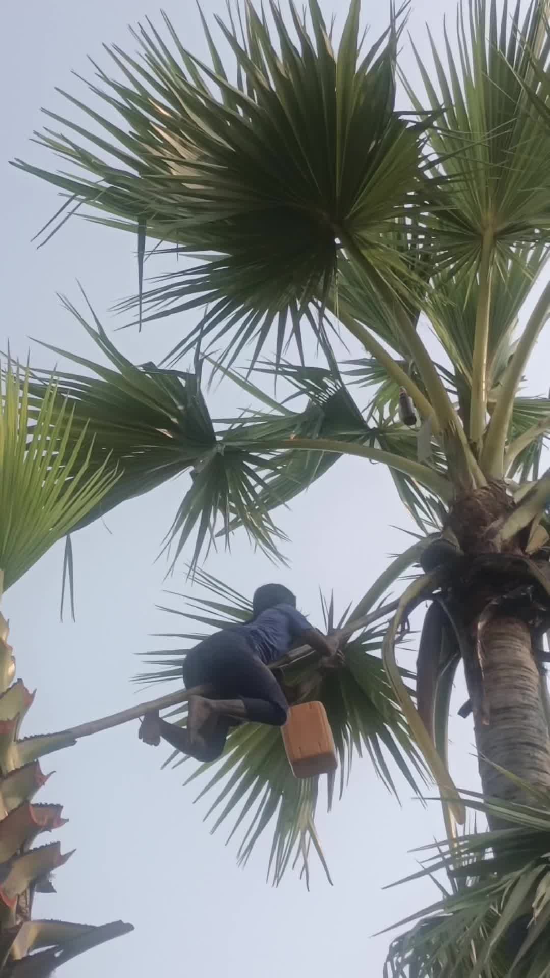@Tan Kyaw Ko