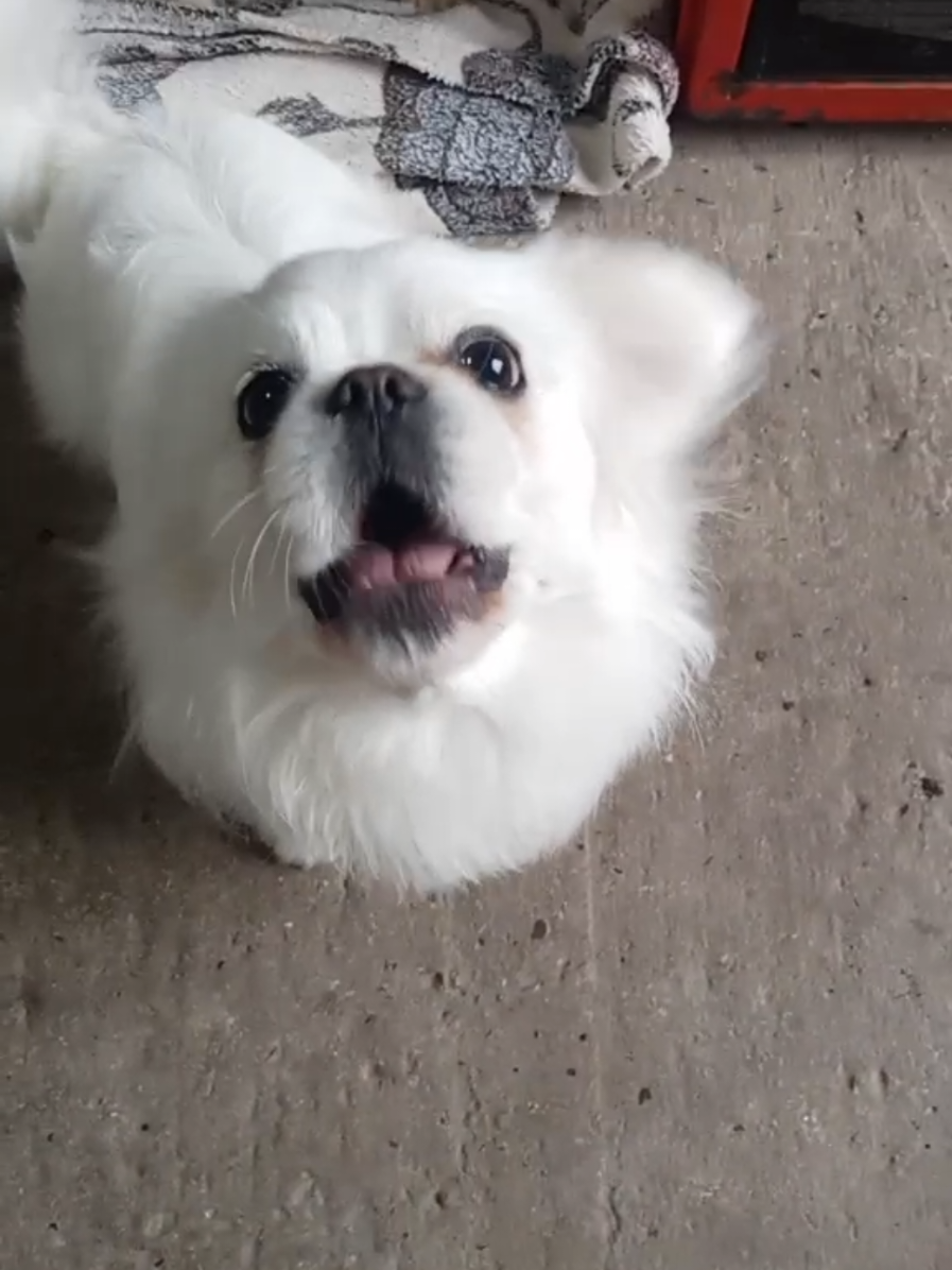 @Jacky_TikTok