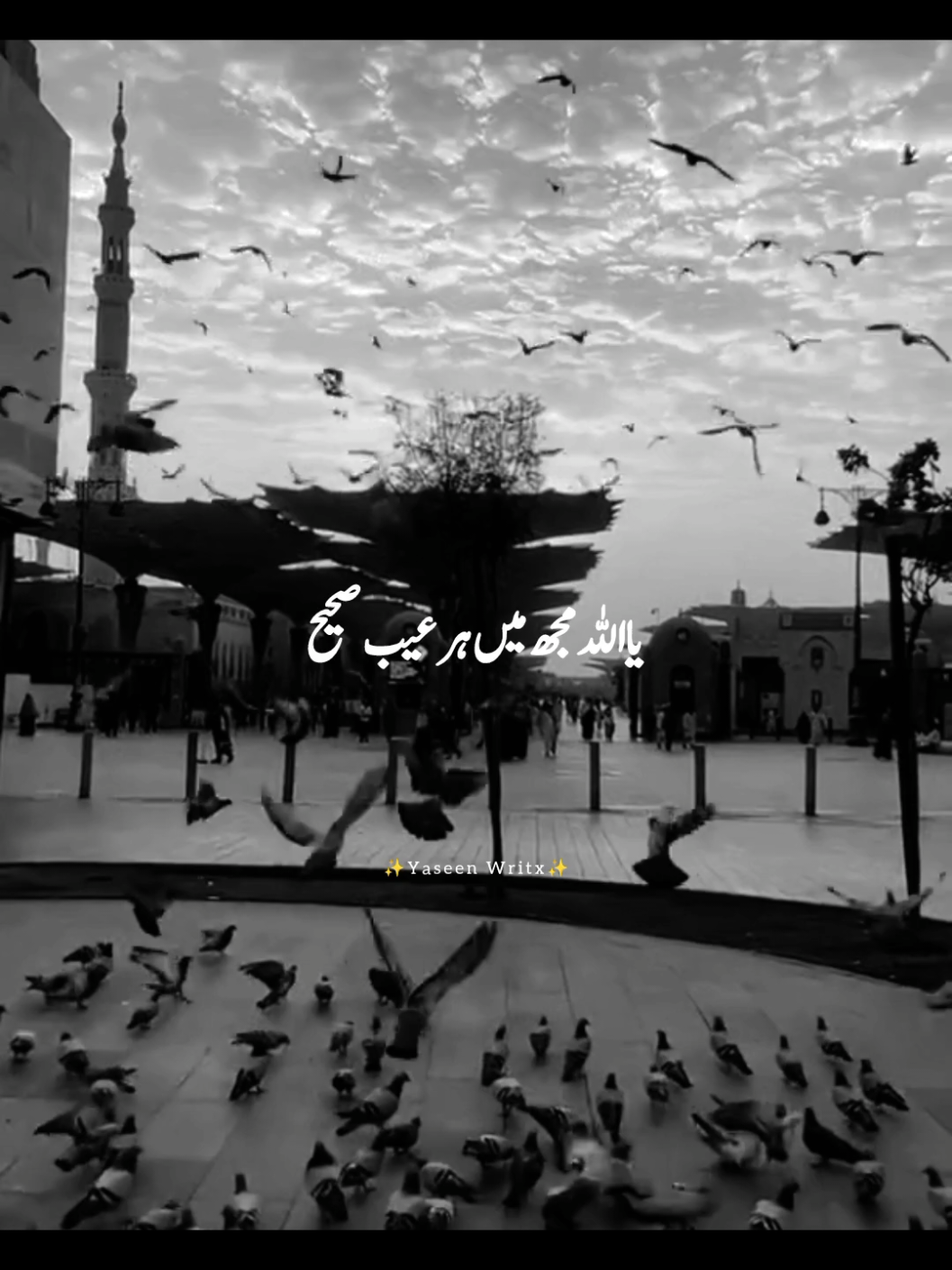 @yaseenwritx