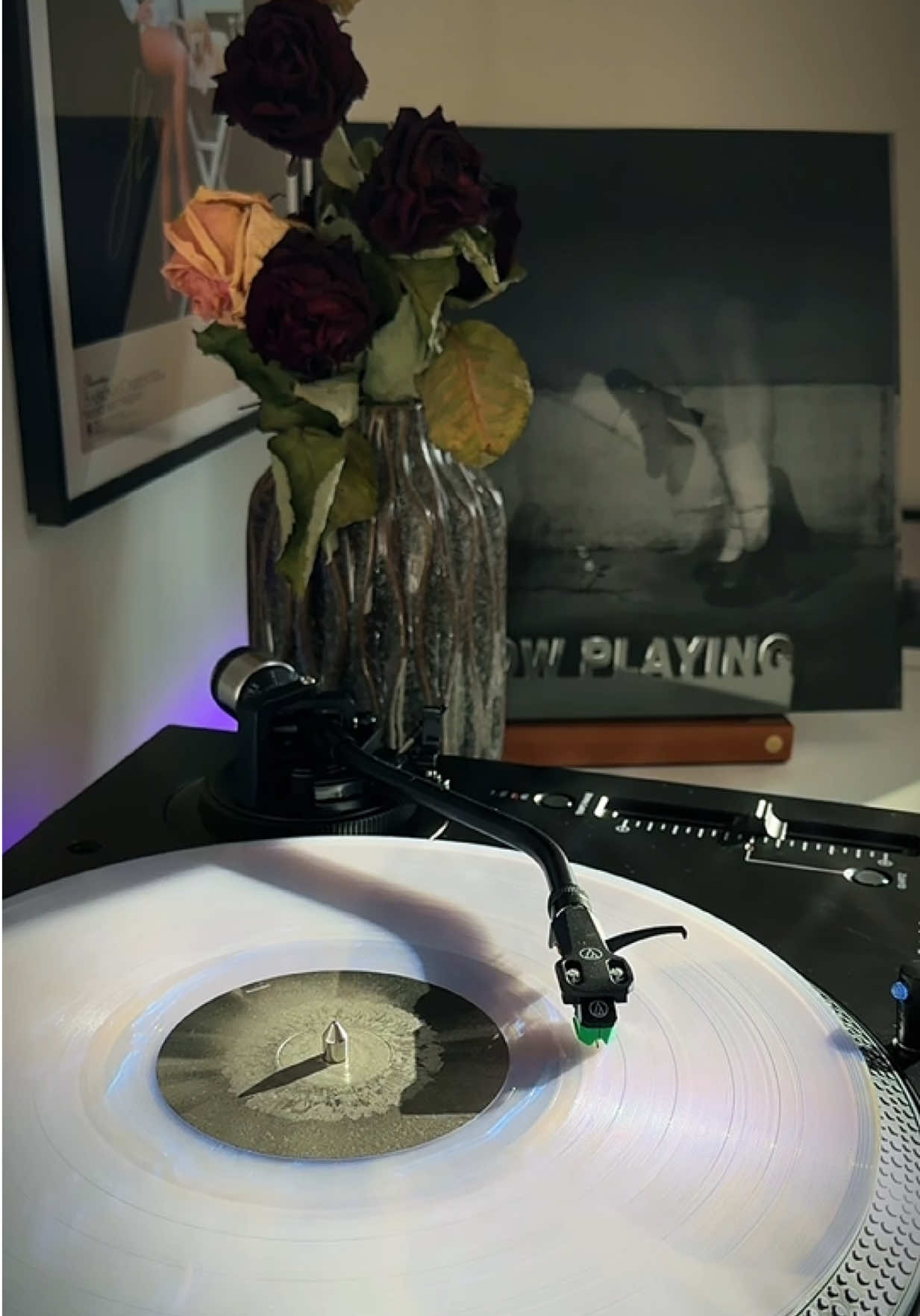 @Matteo.Vinyl