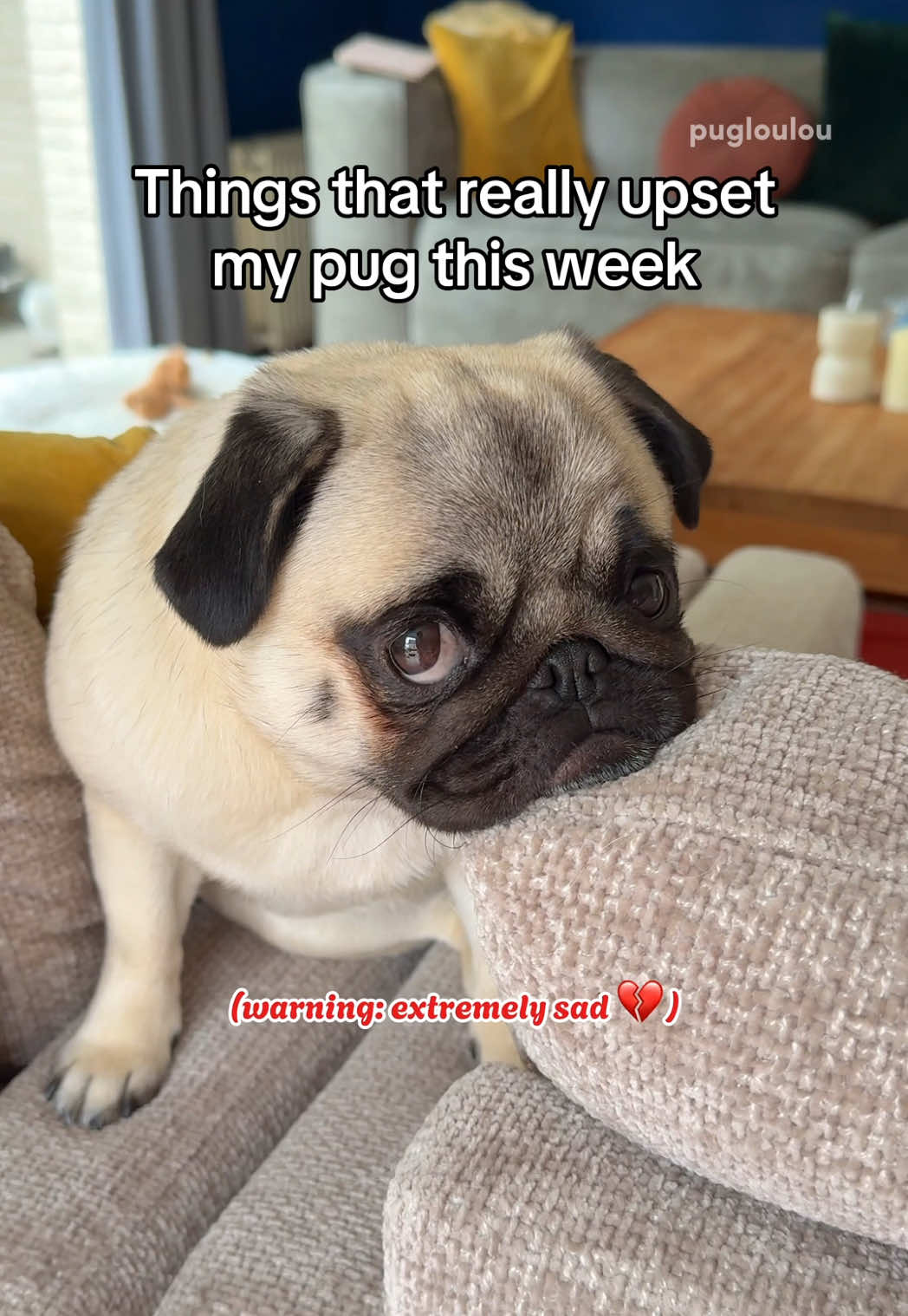 @Loulou the Pug