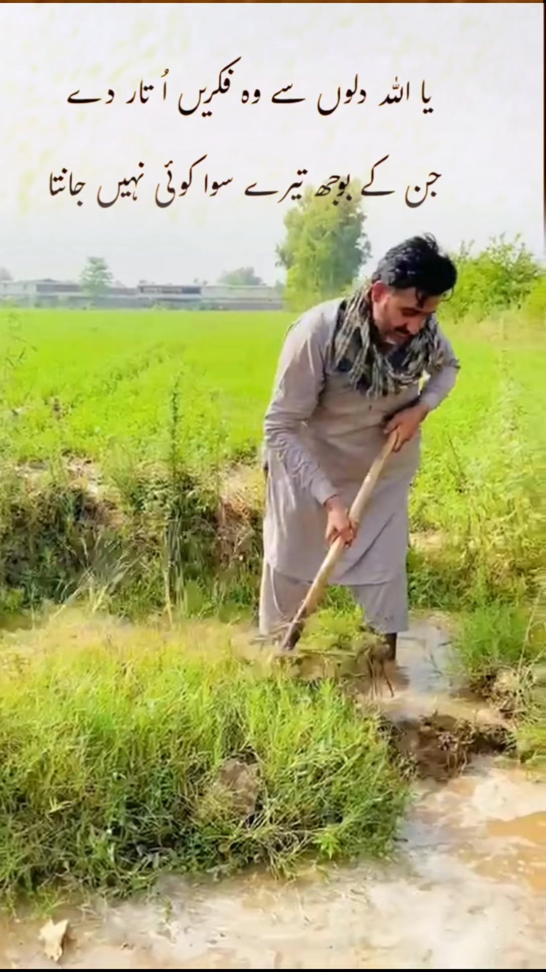 @M Boota virk