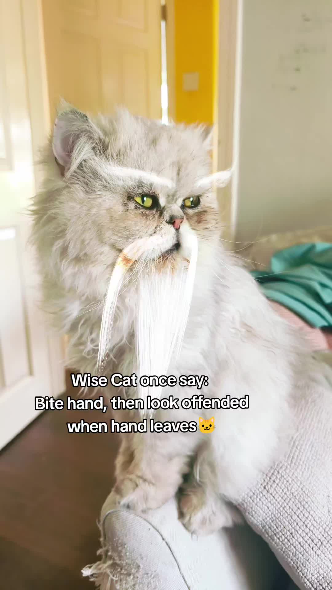 @Hi Simbi & Gizmo