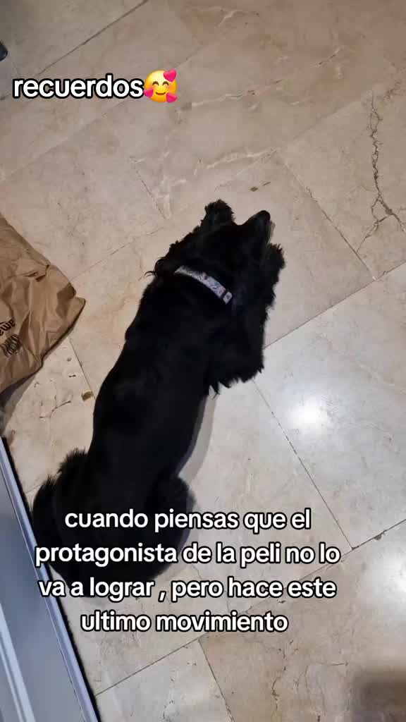 @Iván kawasaki