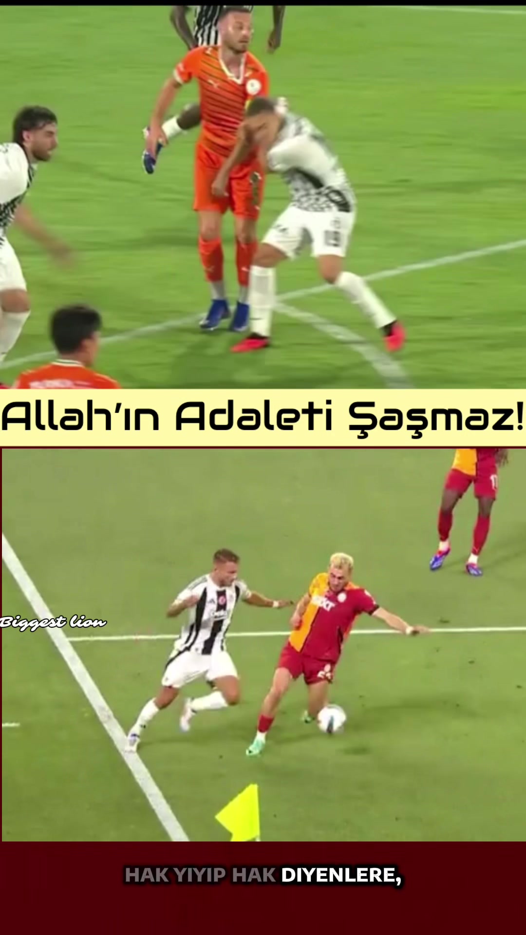 @Biggest LİON💛♥️