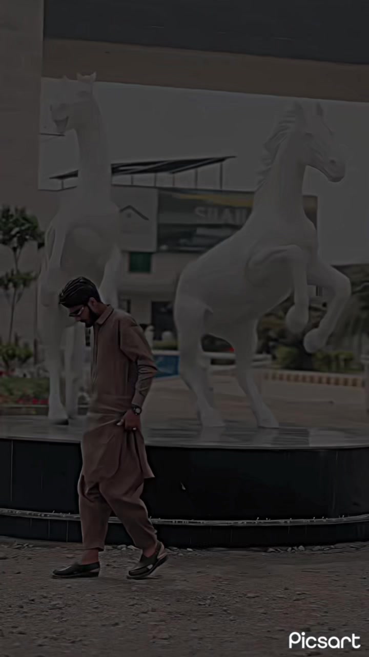 @ذیشان راجپوت ☠️🥷🏻