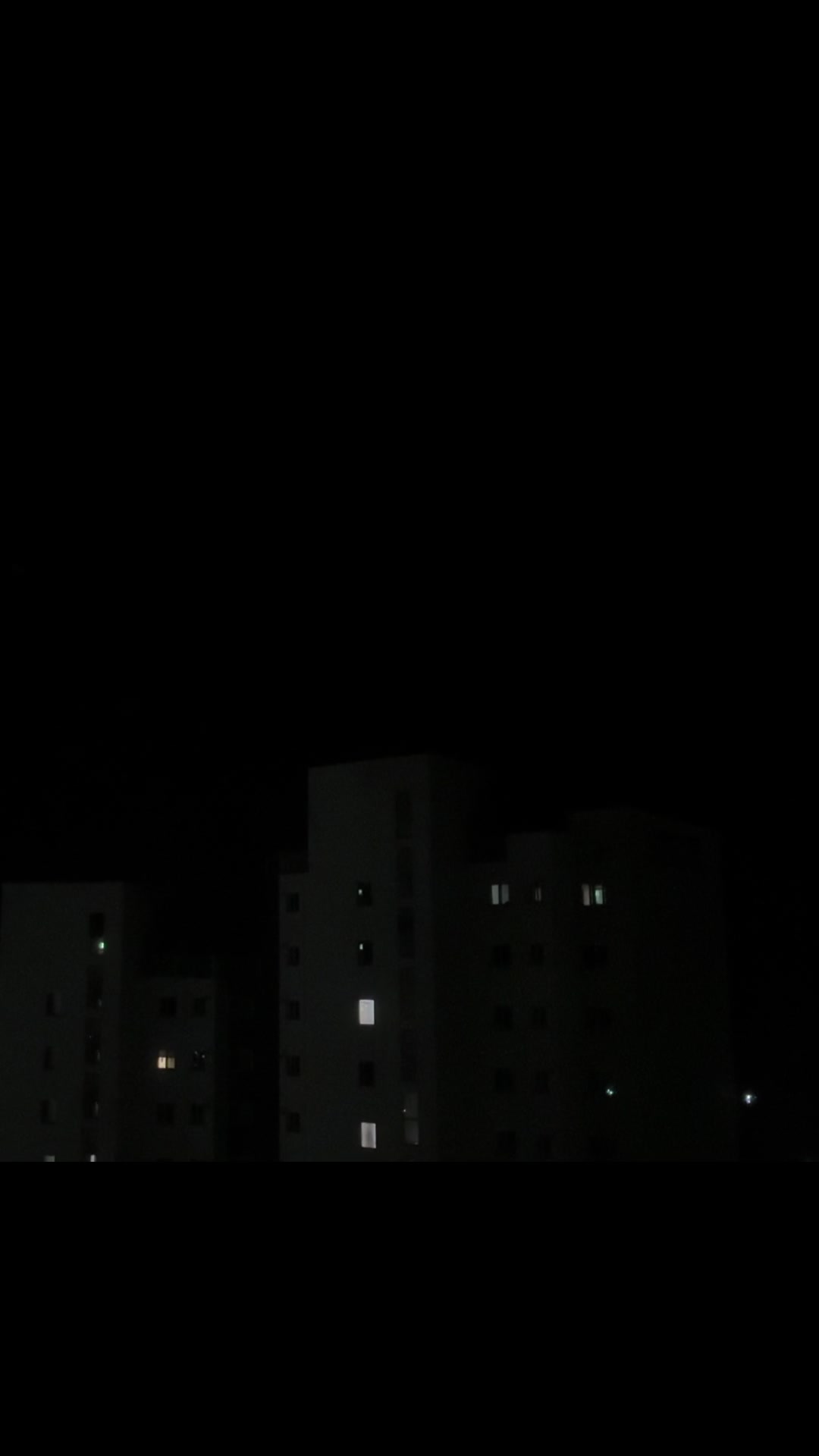 @토리만 바라보는 릱