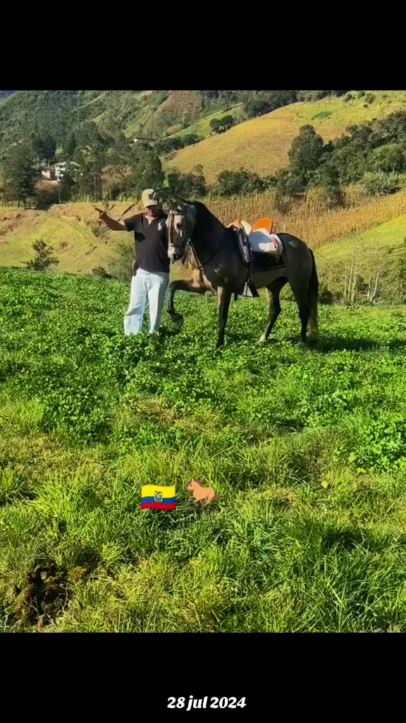 @Galante🐎