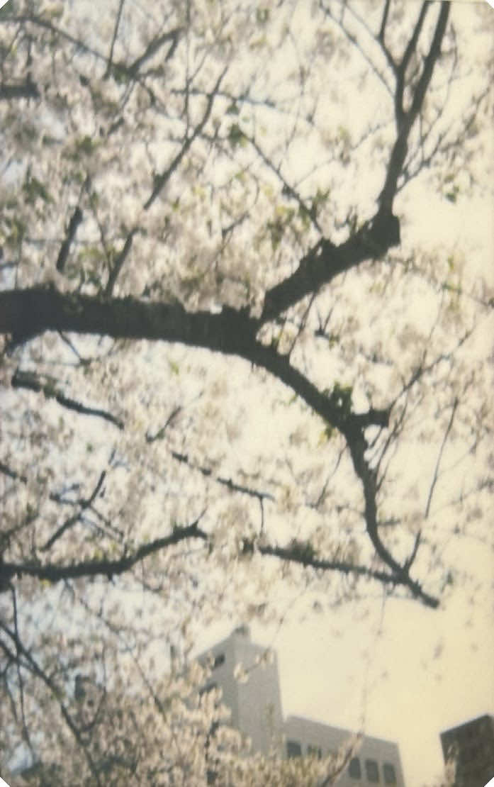 @🌀 vxᥒ1ᥣᥣᥲ ᢉ𐭩