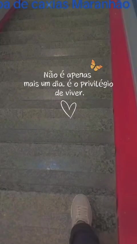 @Rosa De Sá