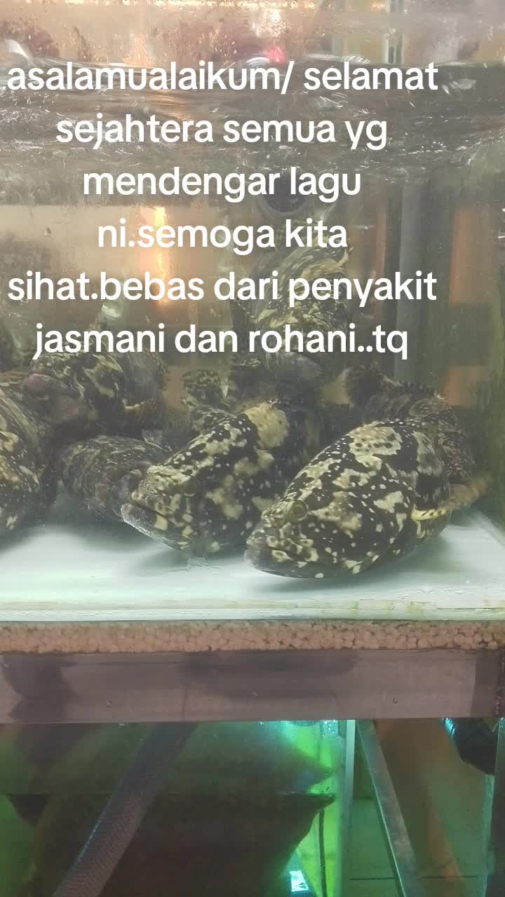@Wan nasruy
