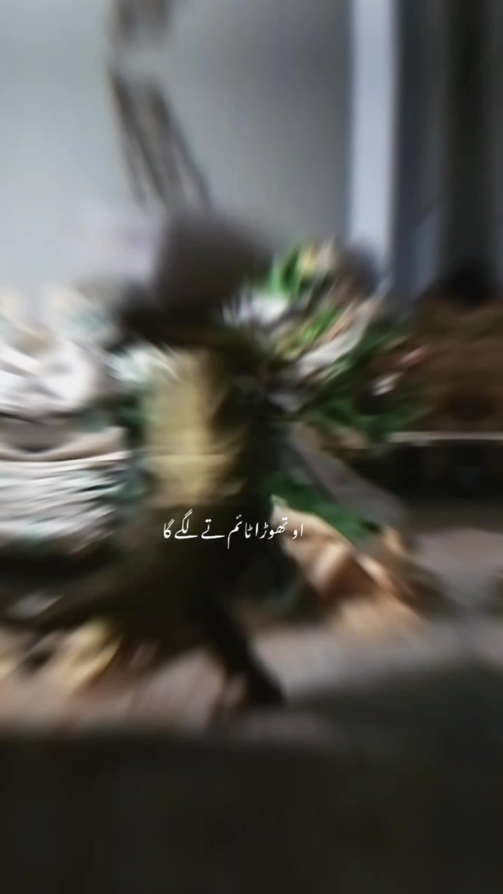 @malik