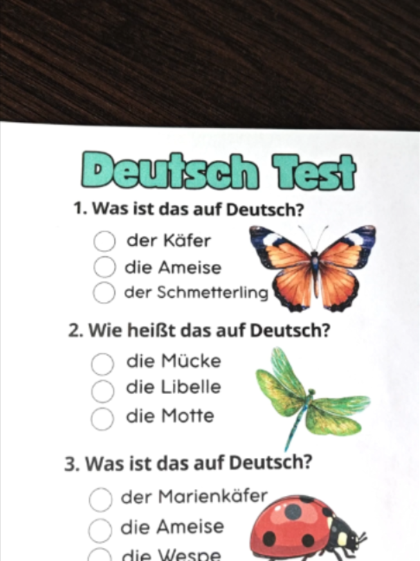 @Wissen Blitz🇩🇪
