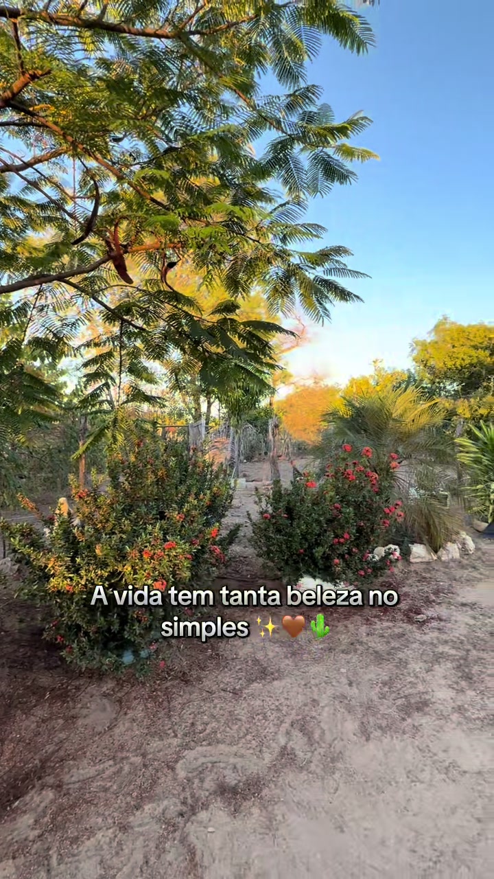 @Recanto Umbaubinha