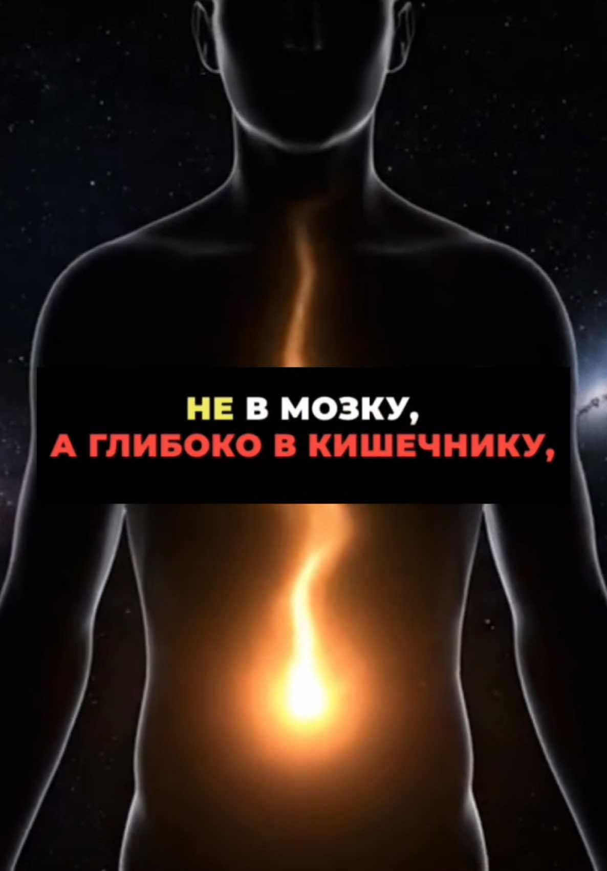 @Kateryna_bairon