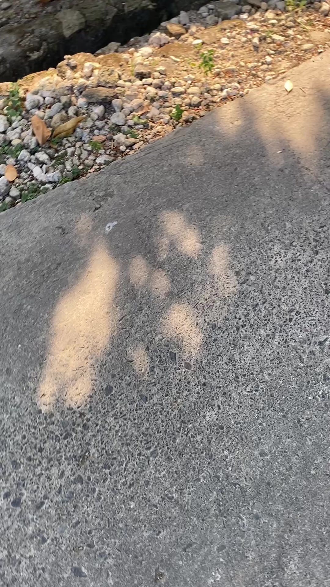 @xjayen12