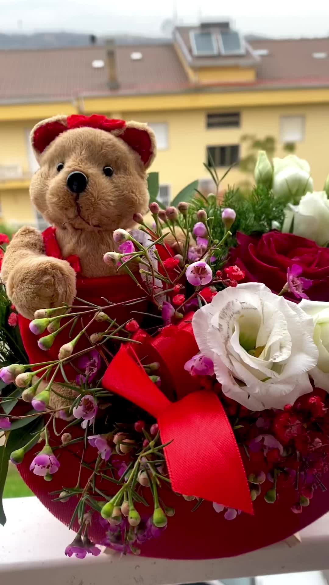 @ivanova_miriam❤️gulli Carmelo