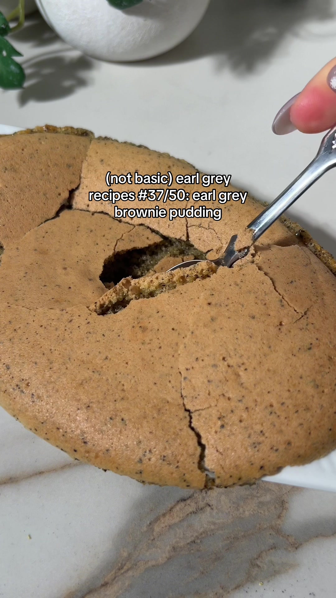 @taramisu