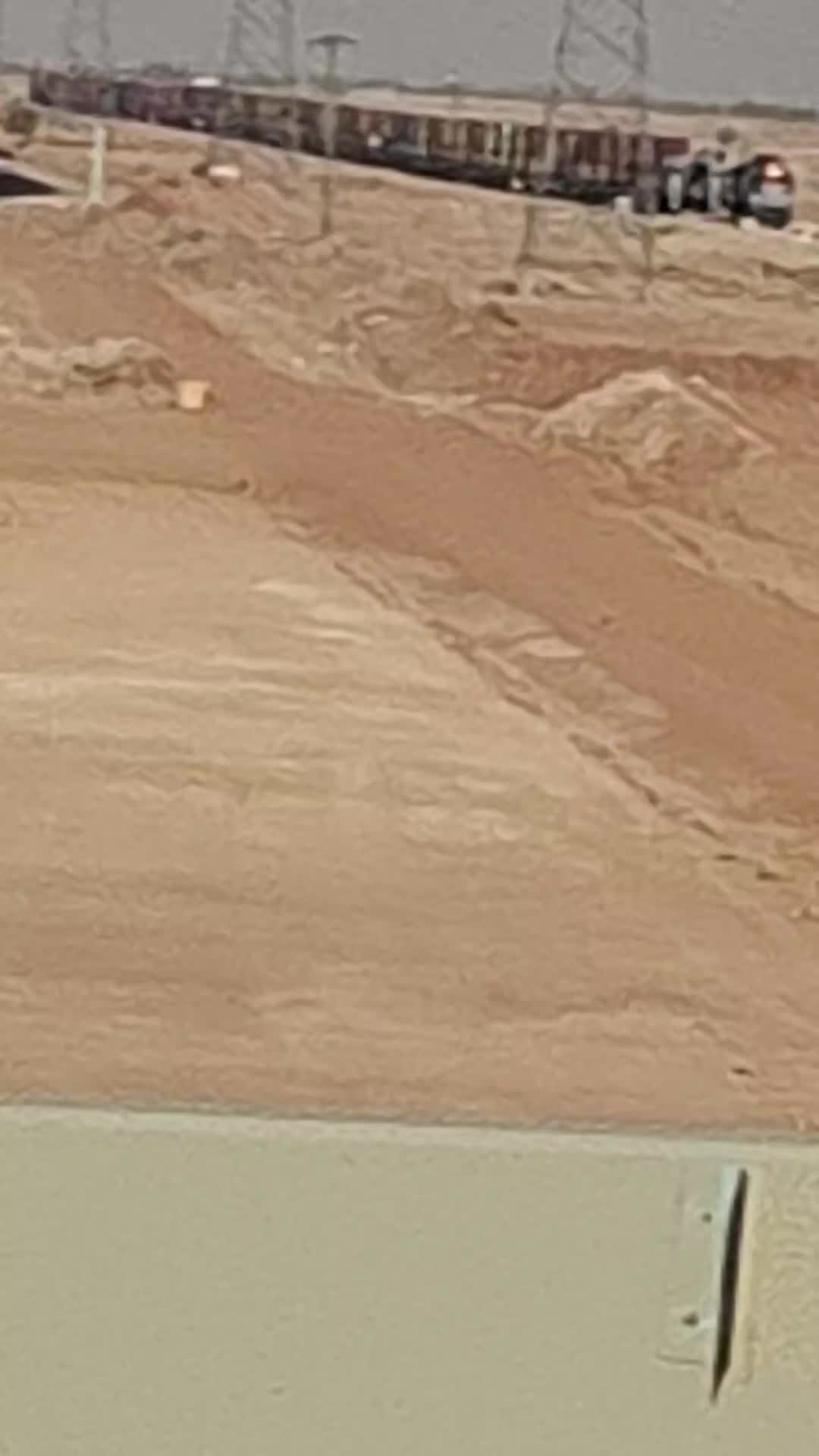 @طلحہ جٹ