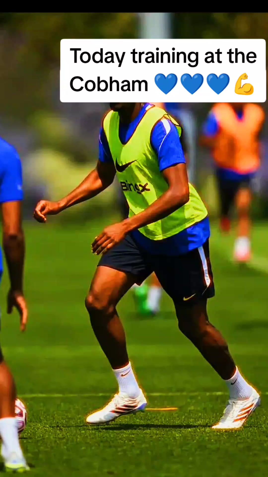 @chelseafcfans12