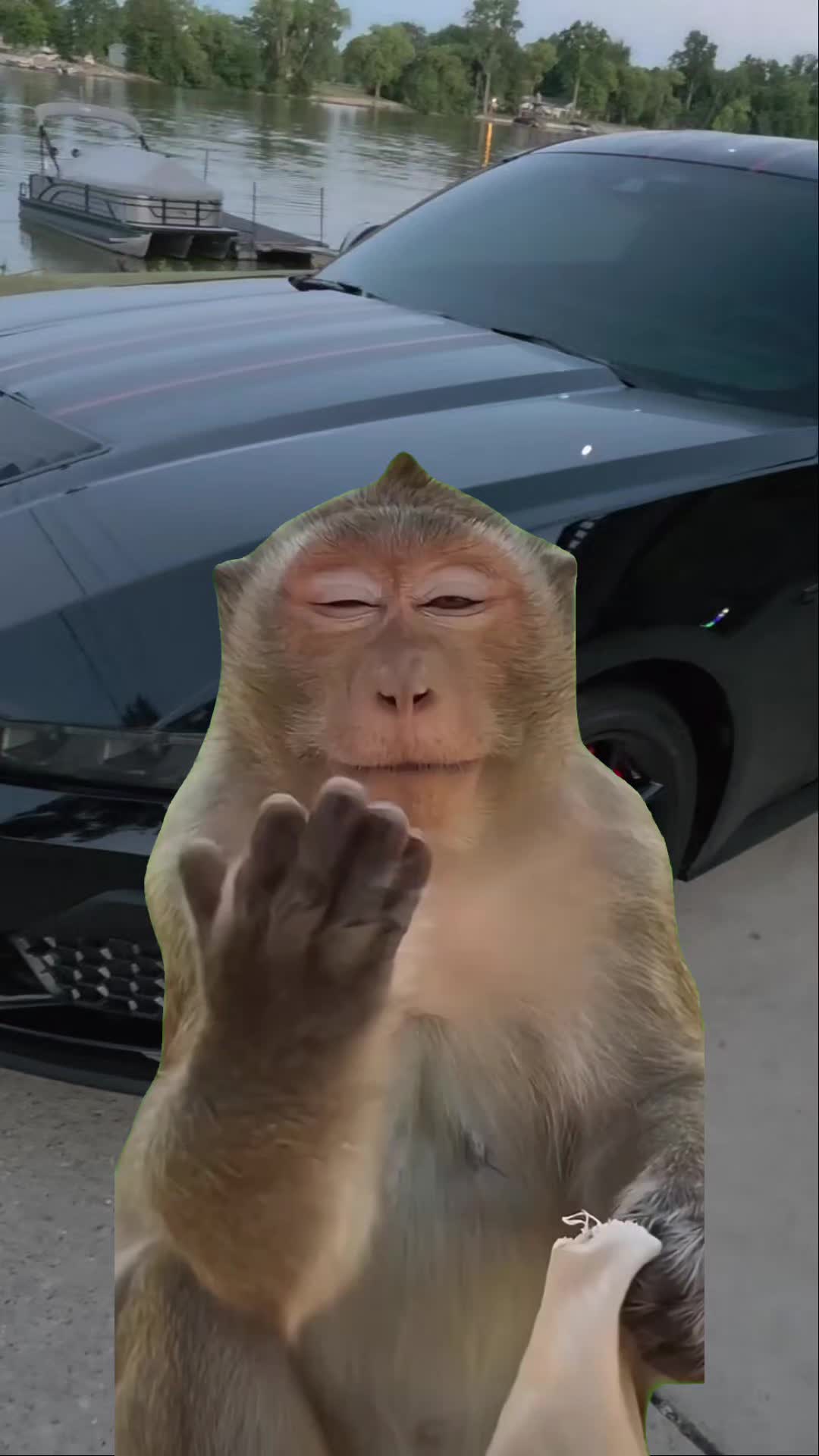 @Lee aka (Big Dawg)