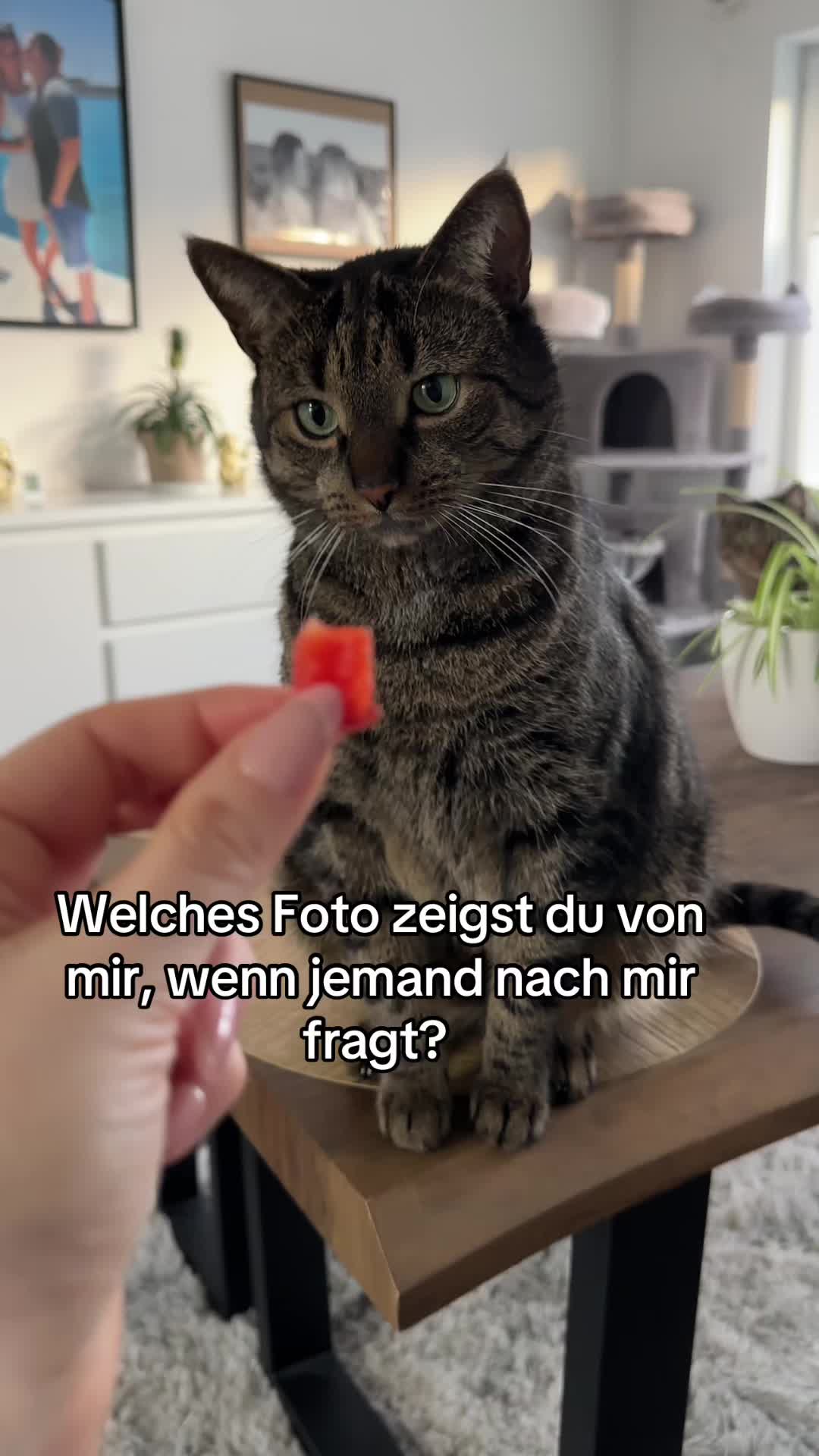 @Happykittycats_
