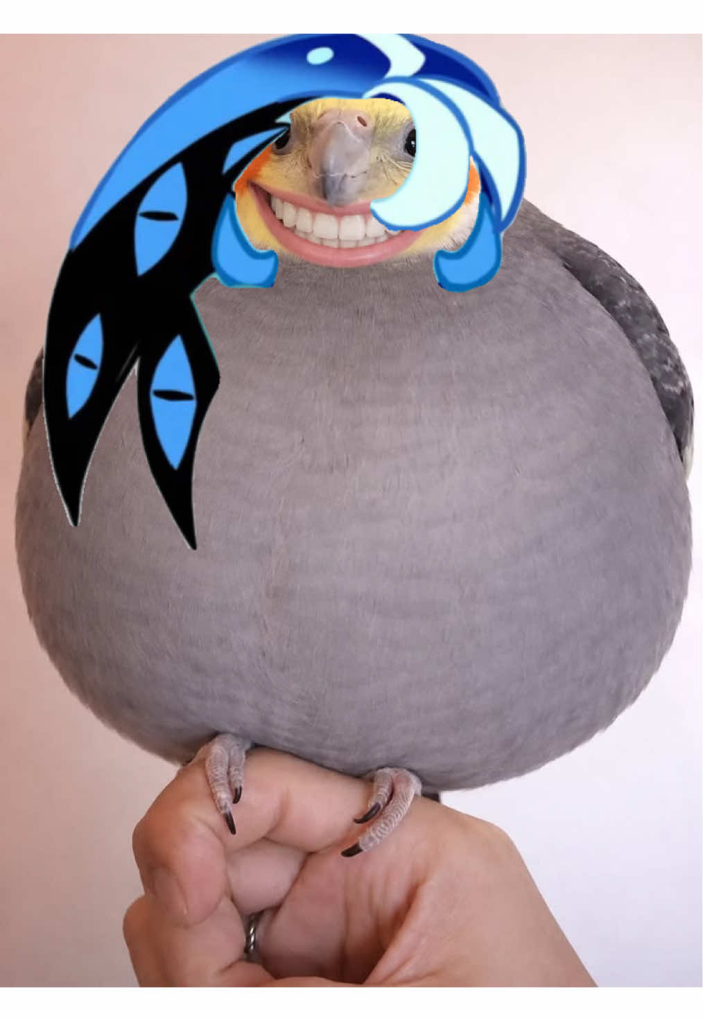 @Elliot(Shadow's#1Fan)🦔༉ .ᐟ ★